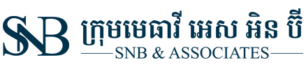 SNB & Associates